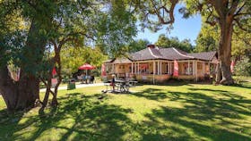 Chocolate Drops, Yanchep, Western Australia