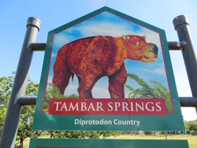 Tambar Springs image