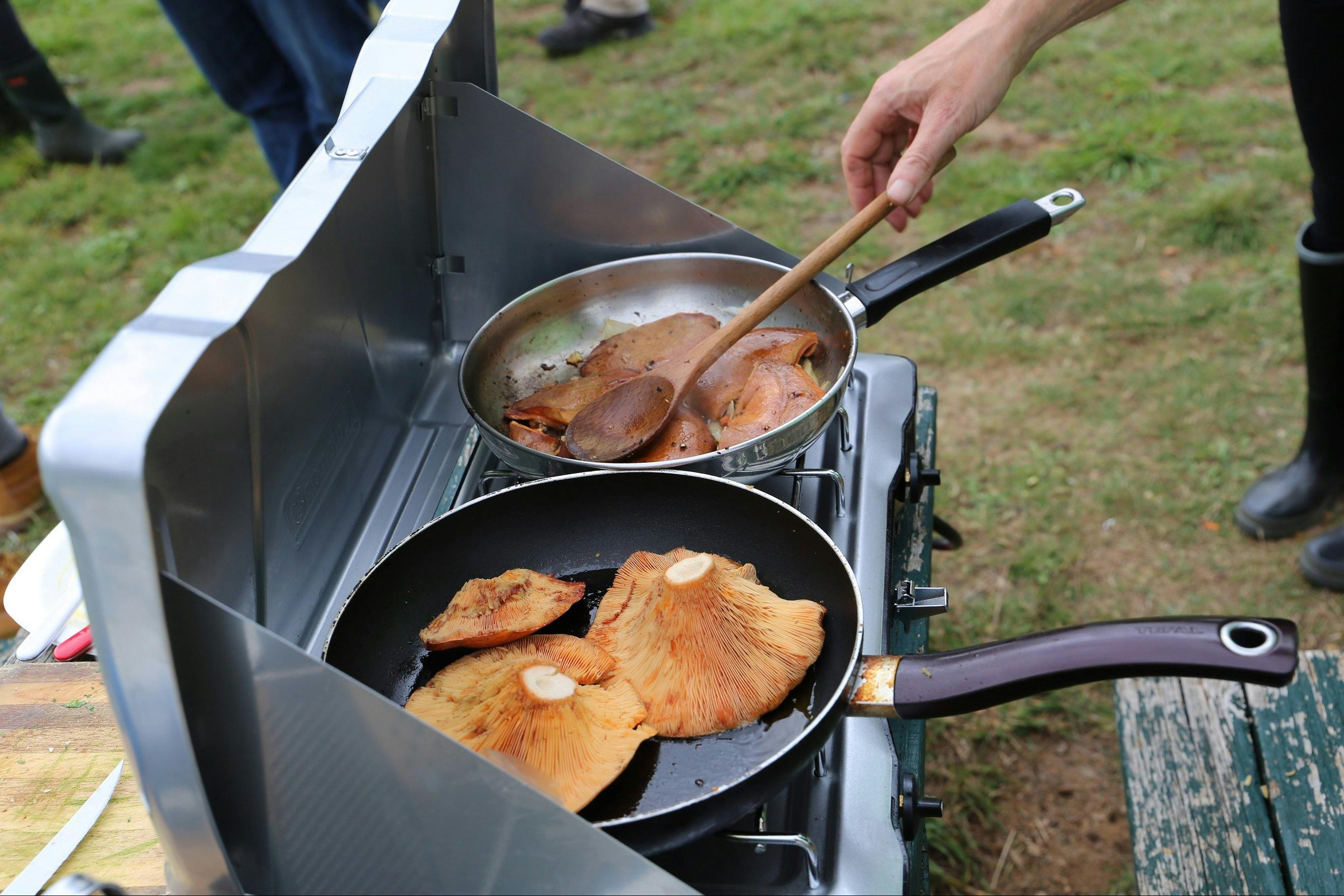 King's Birthday  Wild Mushroom Hunt