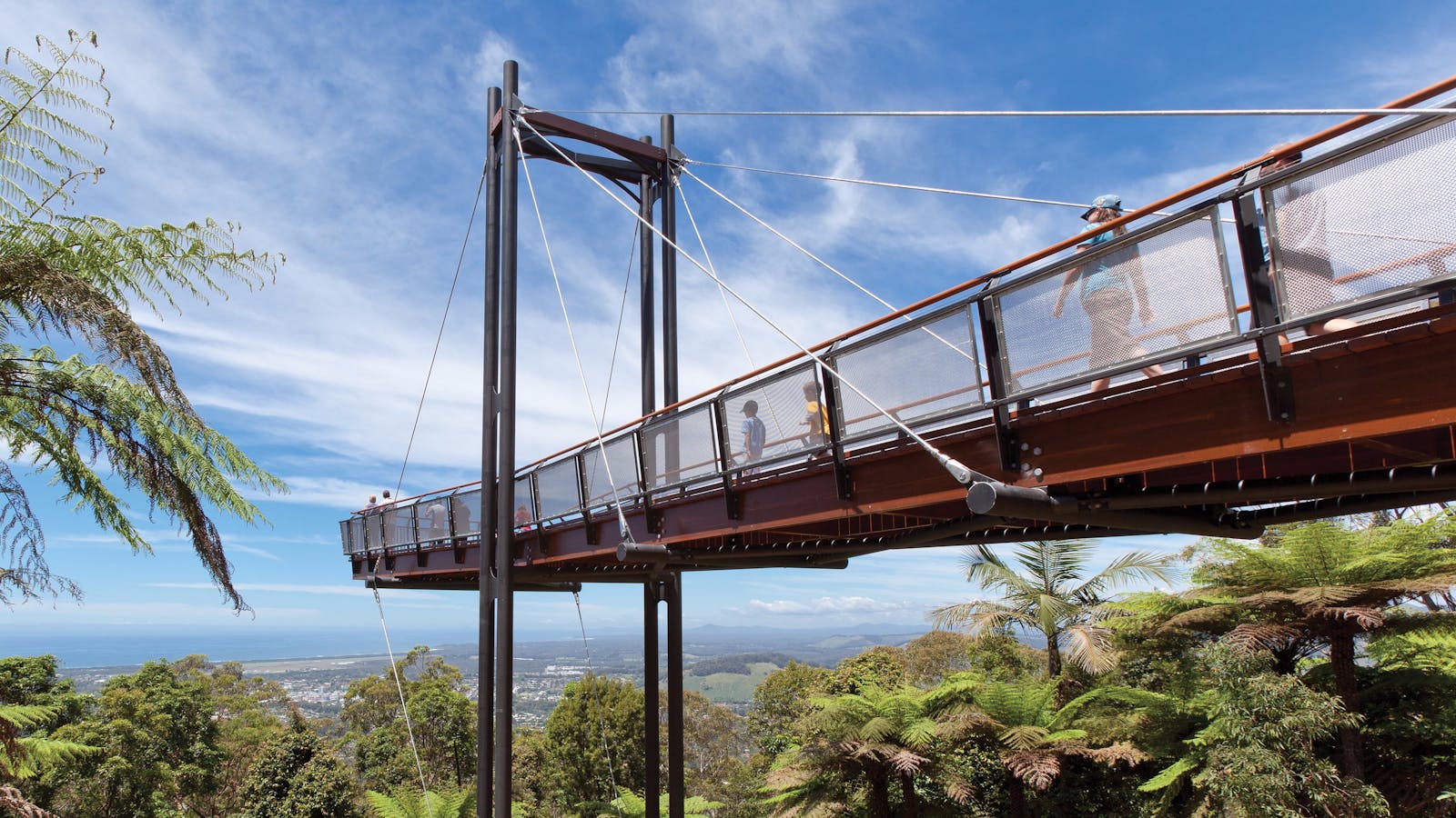 Niigi Niigi - Sealy Lookout