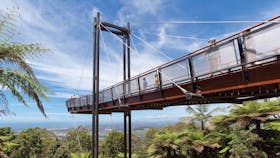 Niigi Niigi - Sealy Lookout