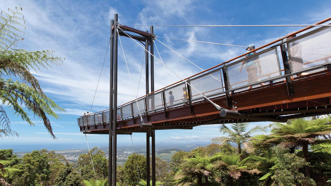 Forest Sky Pier