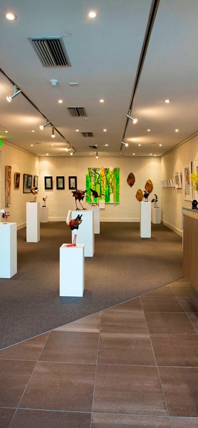 See the latest exhibition at the Gardens' Visitor Centre Gallery