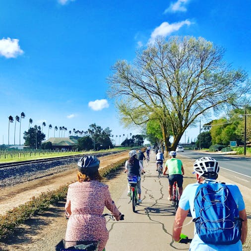 Tour de Barossa Cycling Tour Day Tour from Adelaide