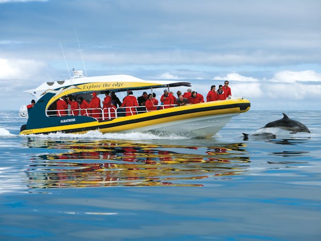 Tasman Island Cruises - Pennicott Wilderness Journeys