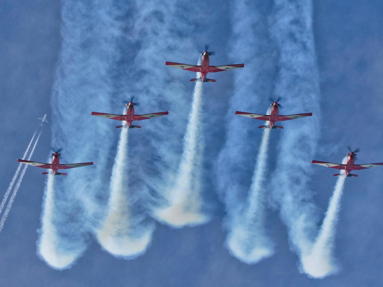 Image for Wings Over Illawarra
