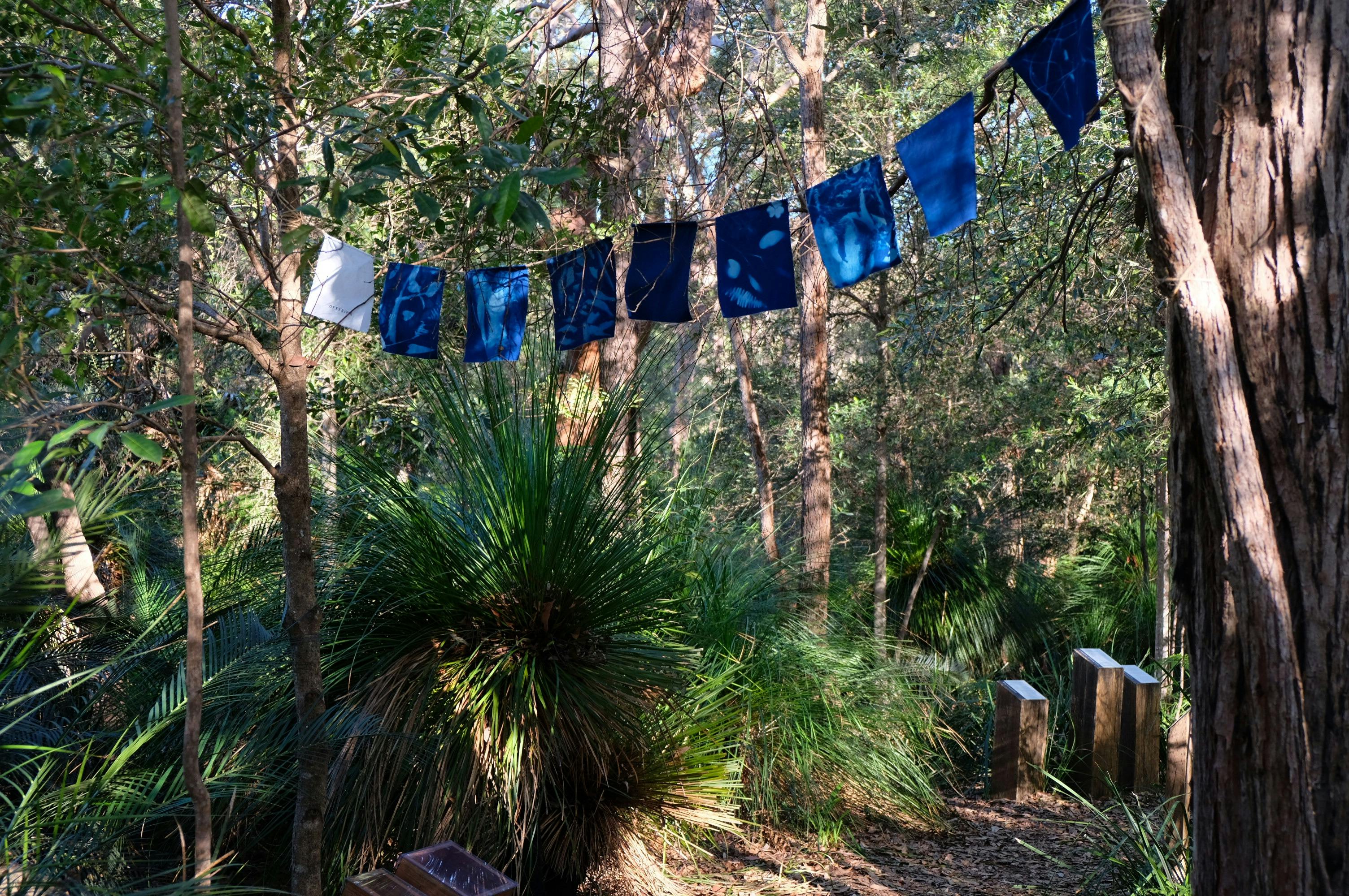 パールビーチ樹木園