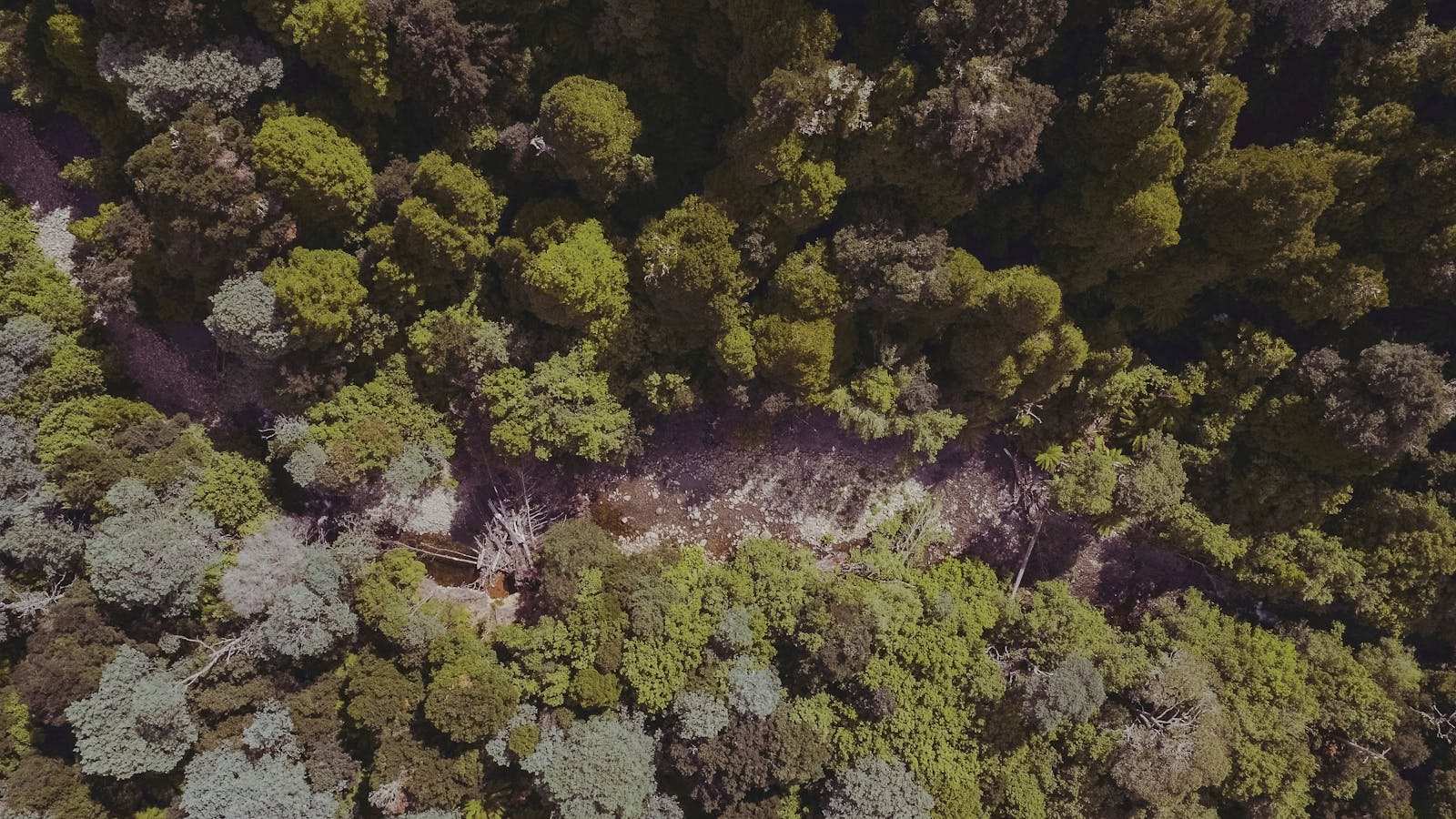 Aerial of Liffey River
