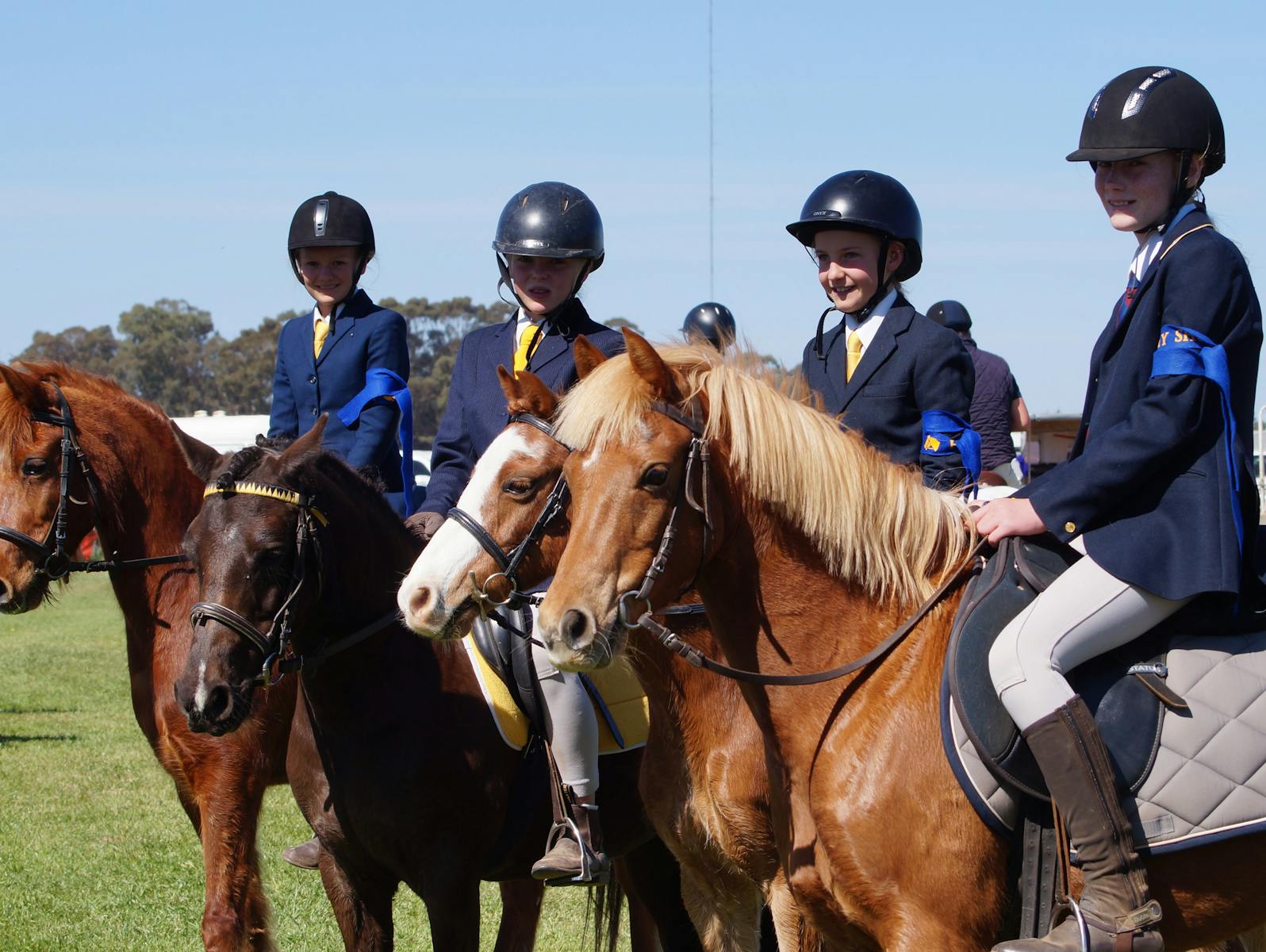 Image for Hay Agricultural Show