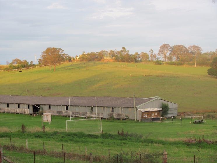 Mowbray Park Farm shed