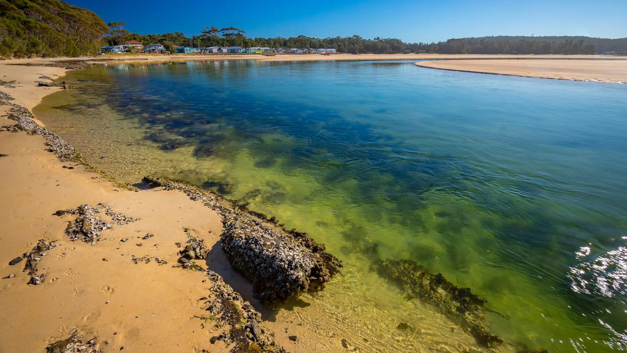 Burrill Beach