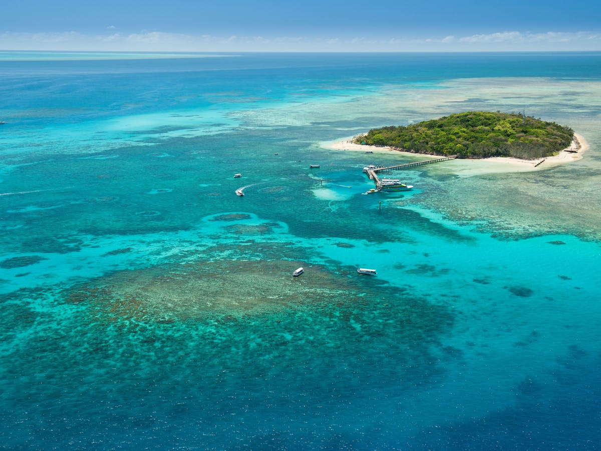大猫号绿岛珊瑚礁航游(big cat green island reef cruises)