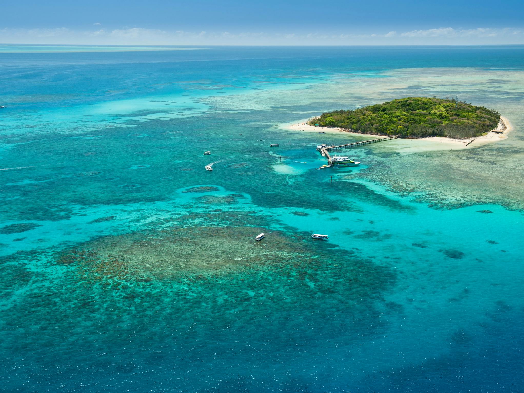 Half Day Reef Tours Half Day Reef Tours