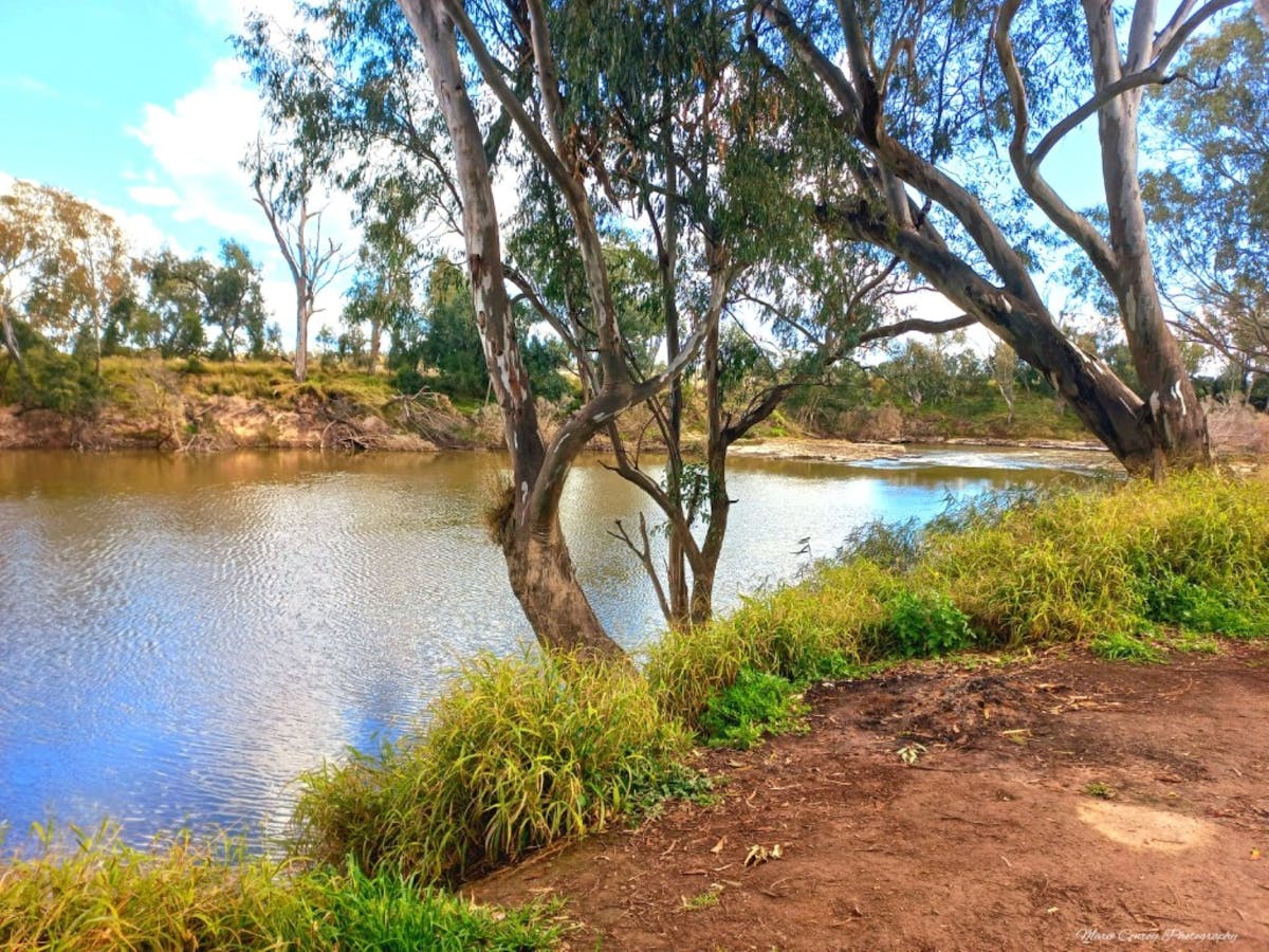 Image of the river at Lee's Reserve