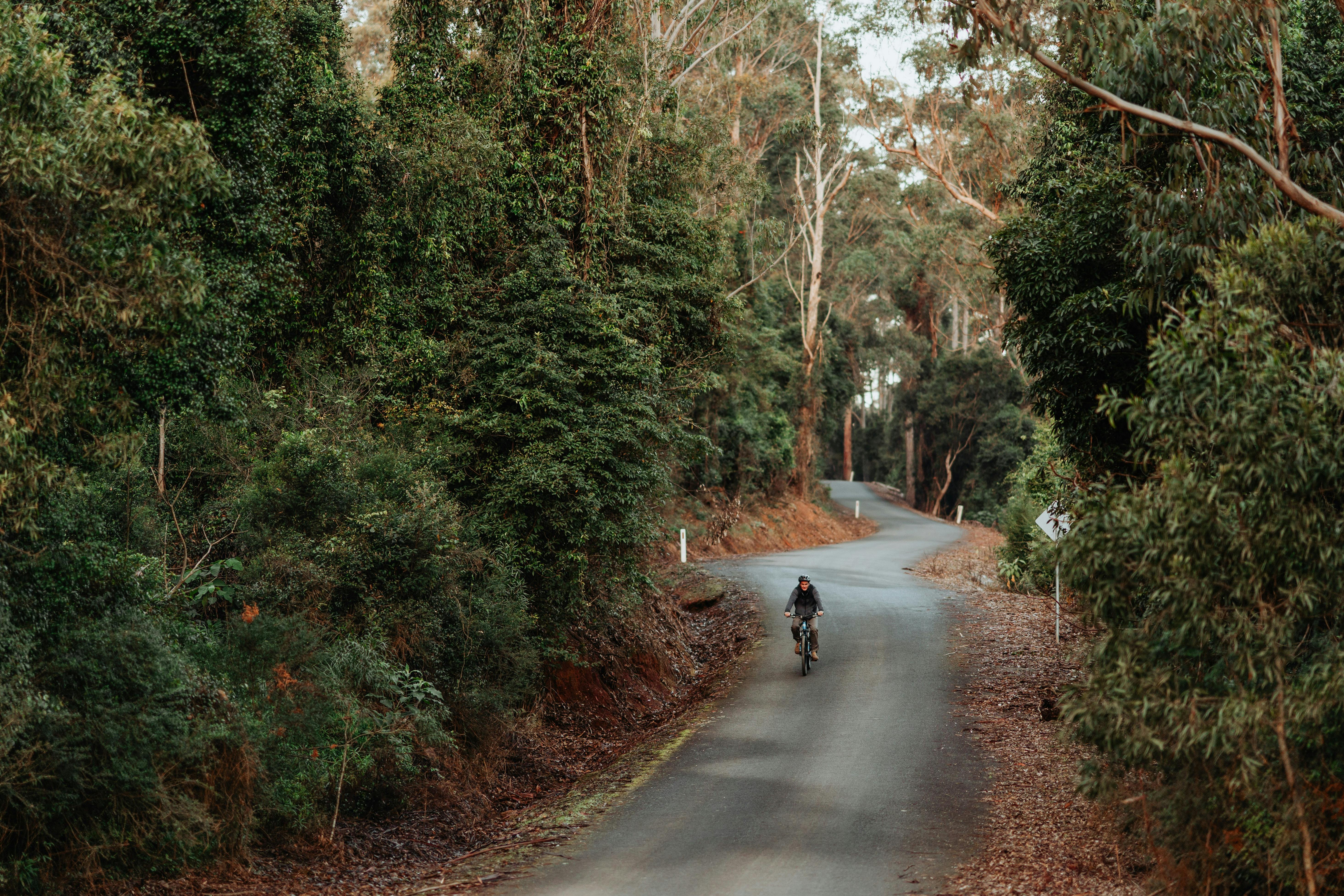 ゲストはマウンテンバイクに乗って田舎を探索し、自然に浸ります
