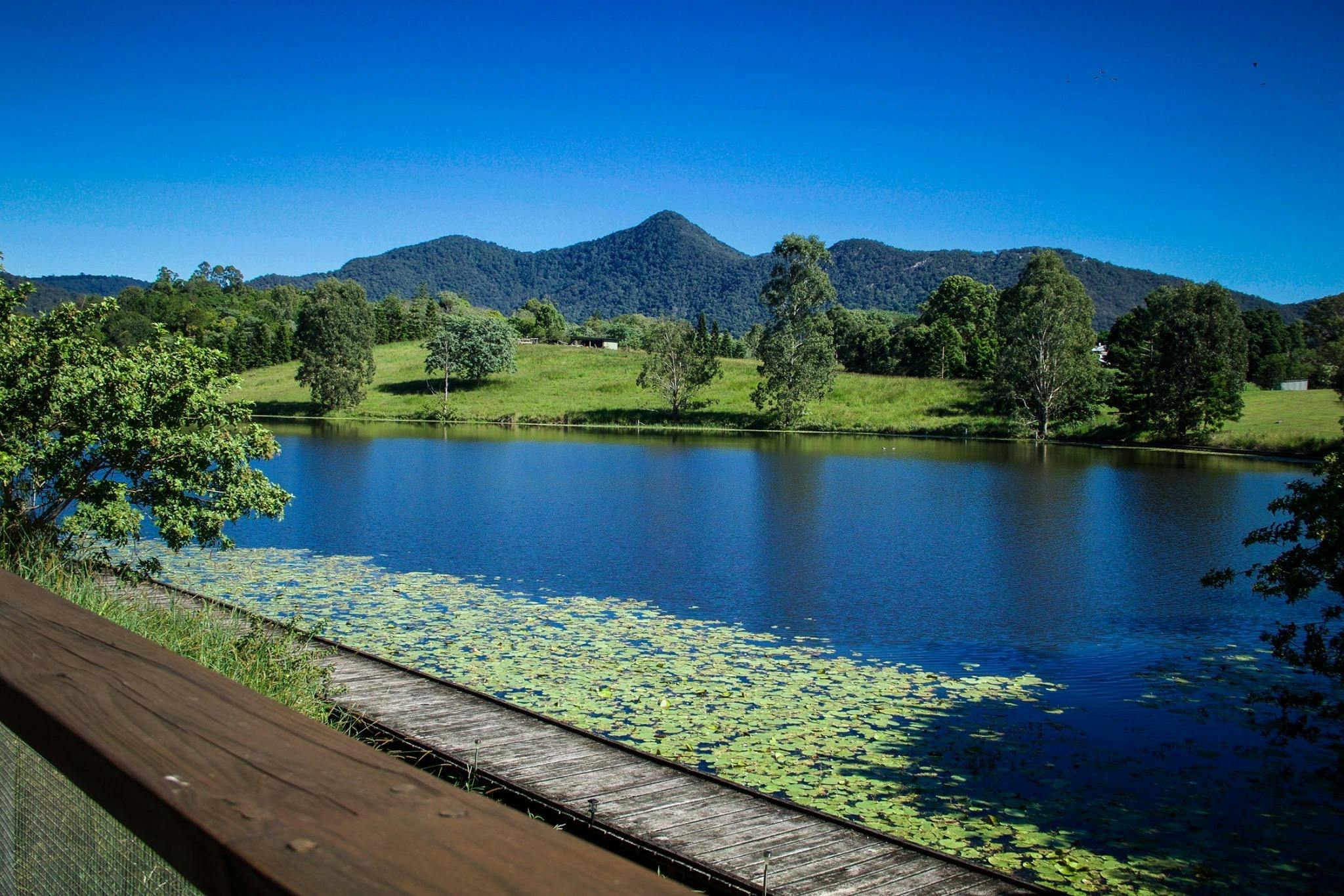 Samford Lakes Rural Accommodation