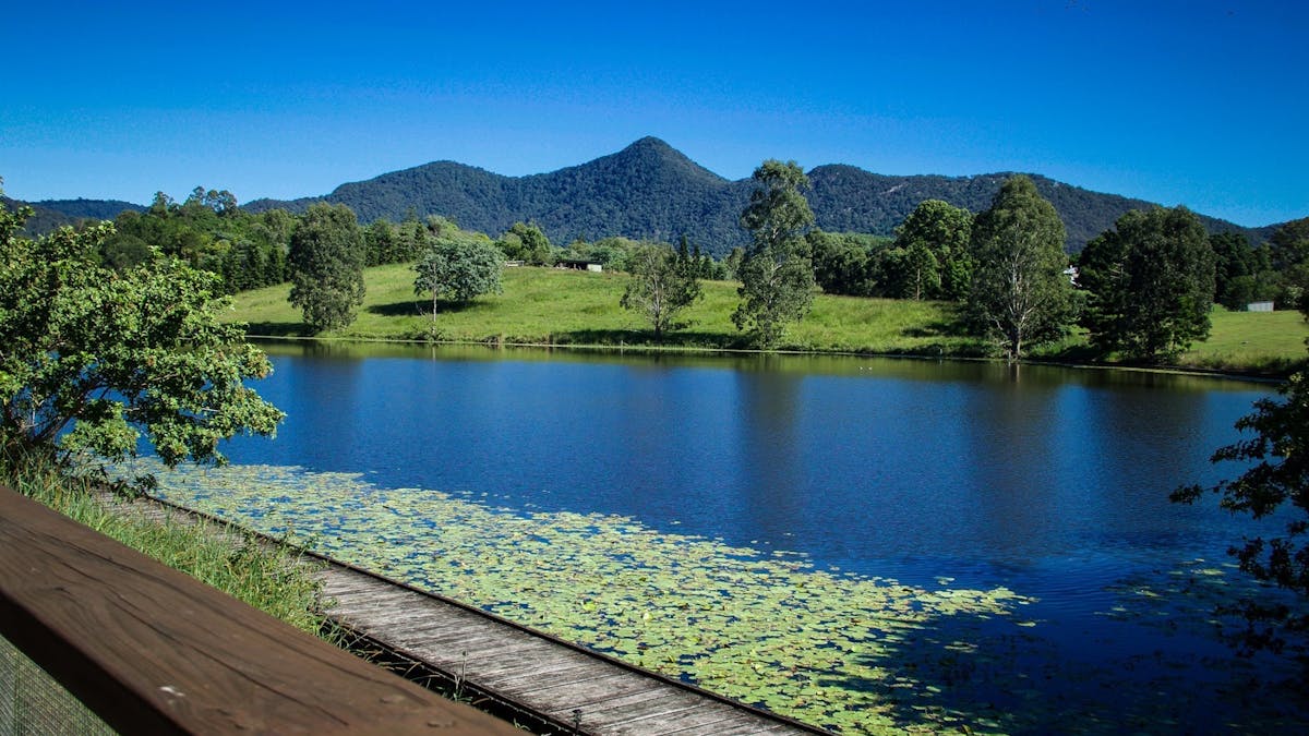 View from Lakeside Cottages