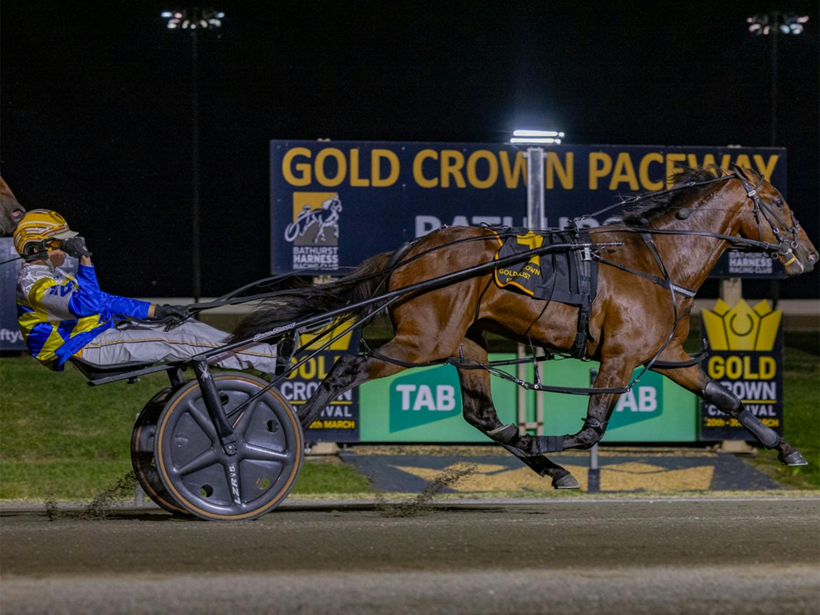 evening harness racing
