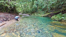 Rosewood Creek Walking Track