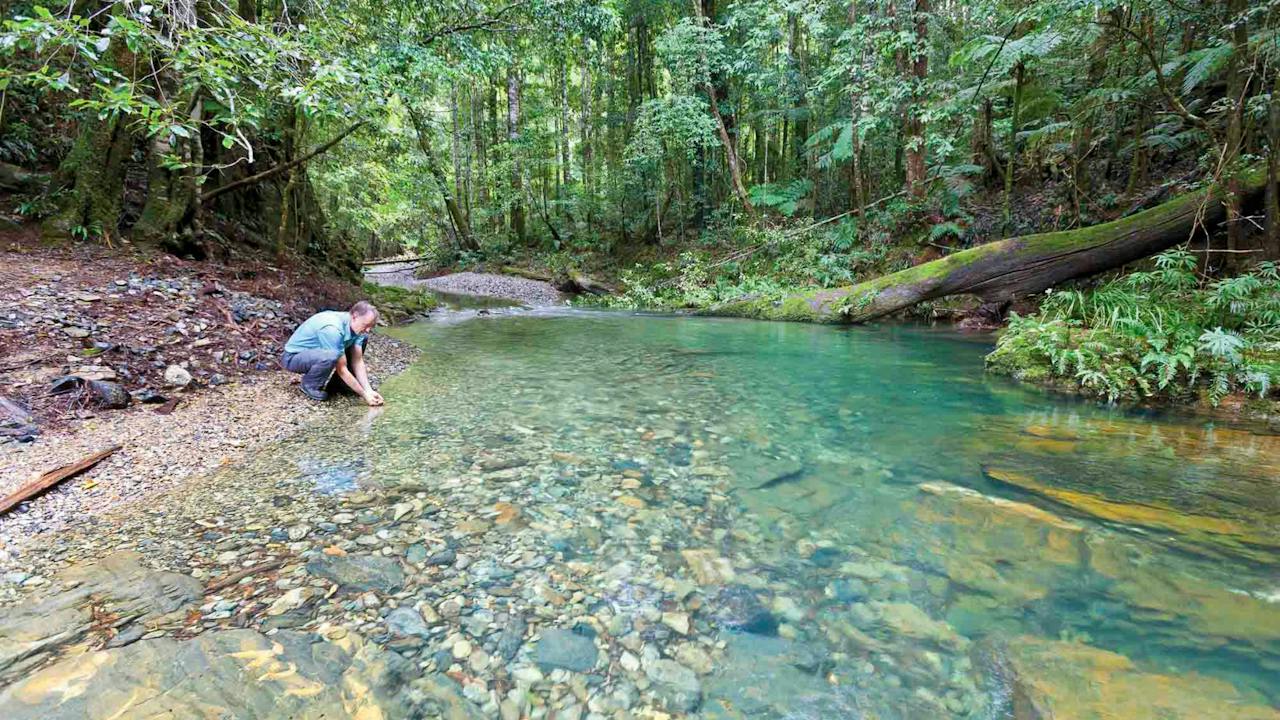 Rosewood Creek Walking Track