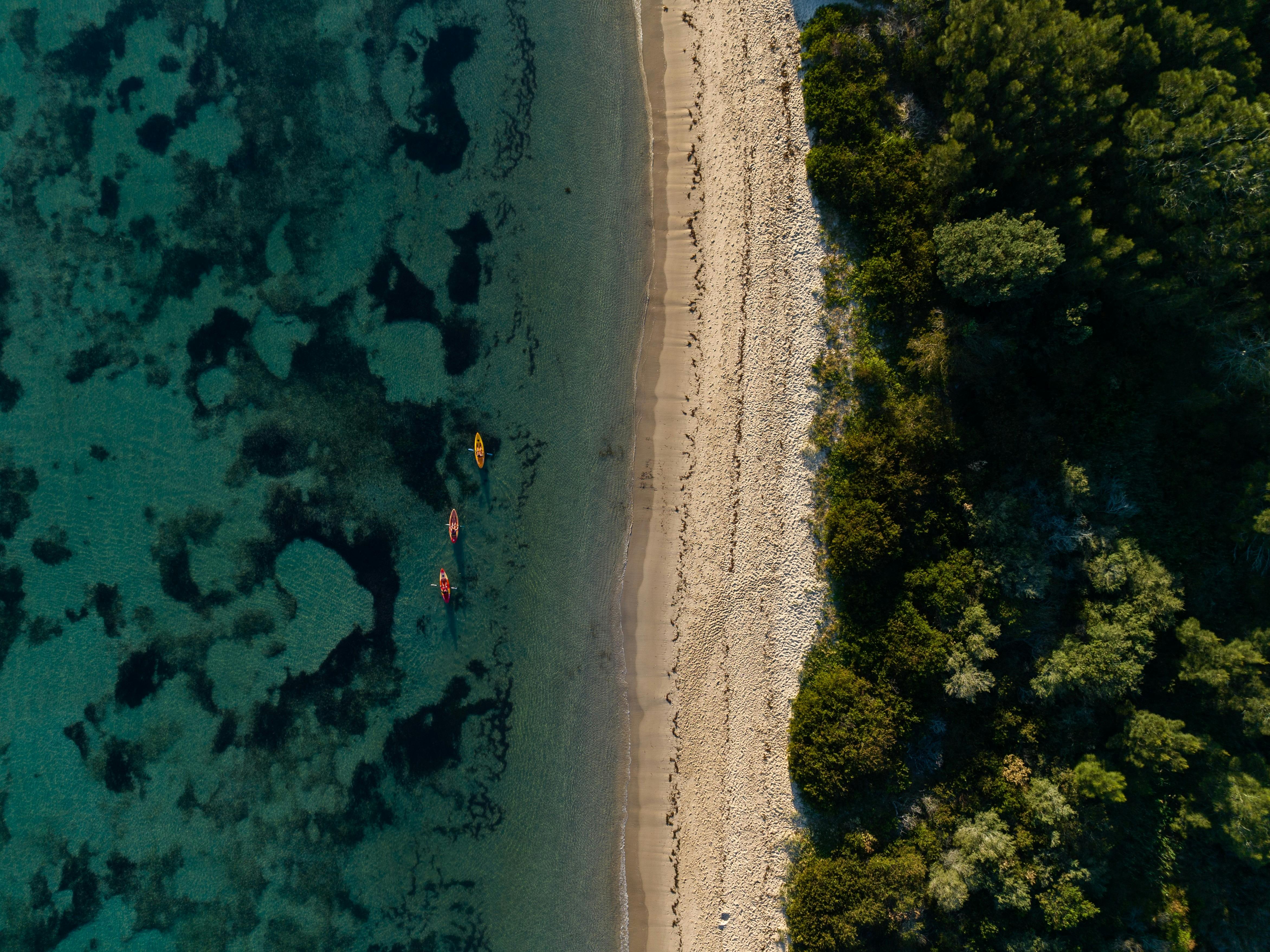 Arial shot kayaking Salts Bay