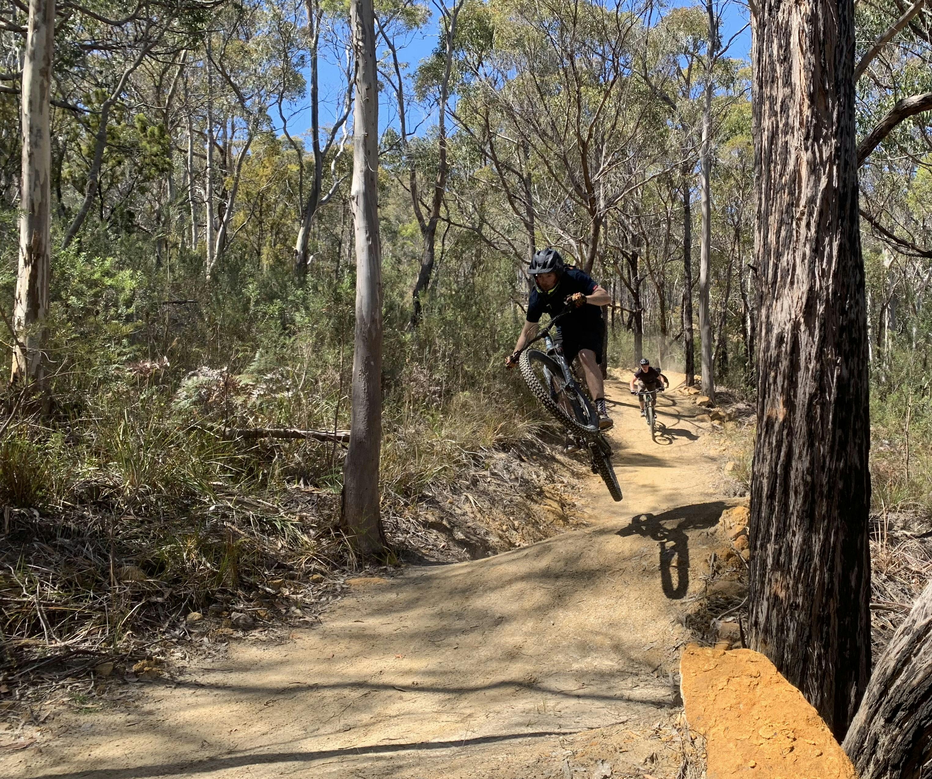 Young people riding mountain bikes along a bush trail.