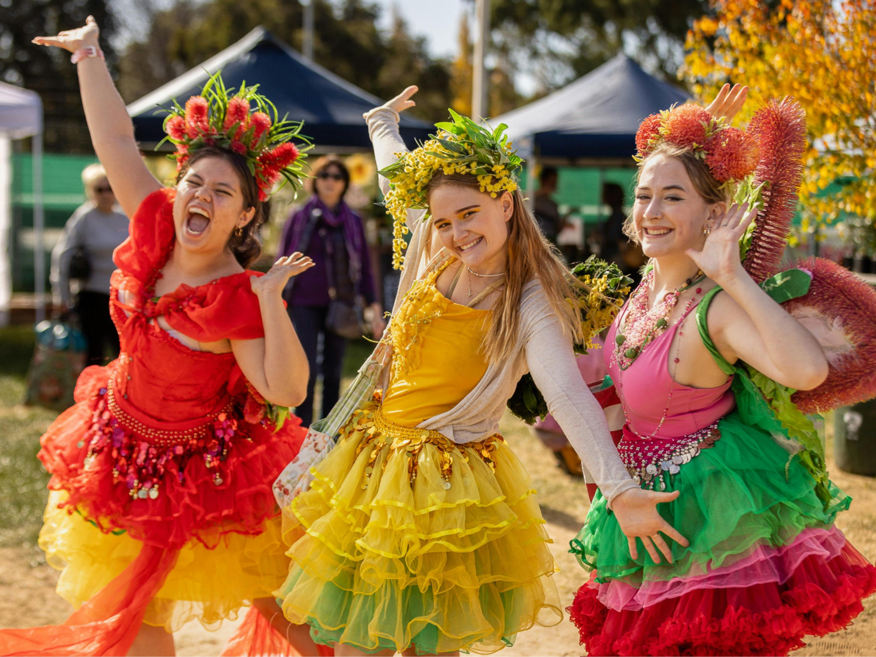 Festival fairies having fun at the festival.