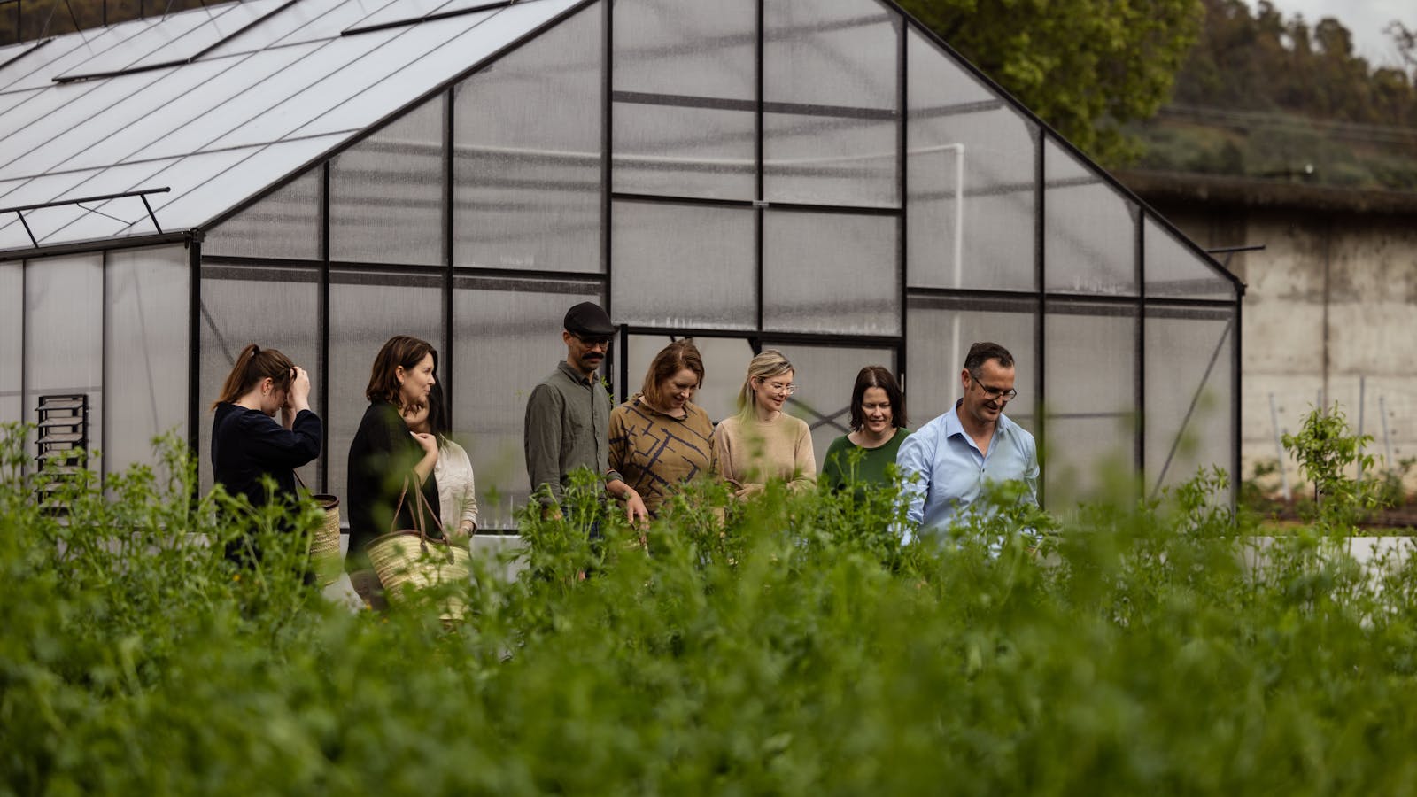 Greenhouse in garden tour