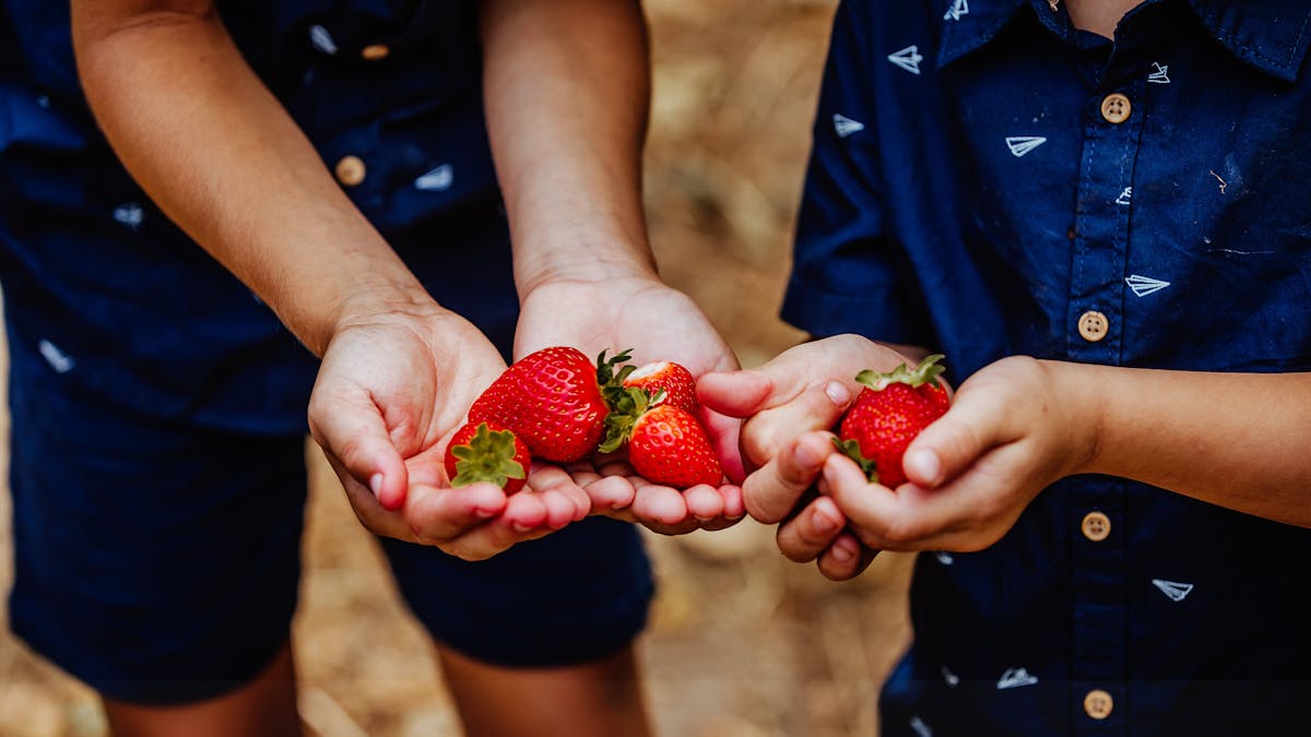 PYO Strawberries