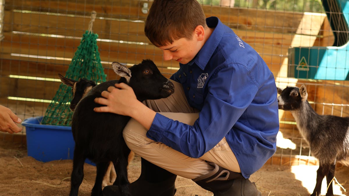 One of our goats, Tucker wants to be cuddled all the time.