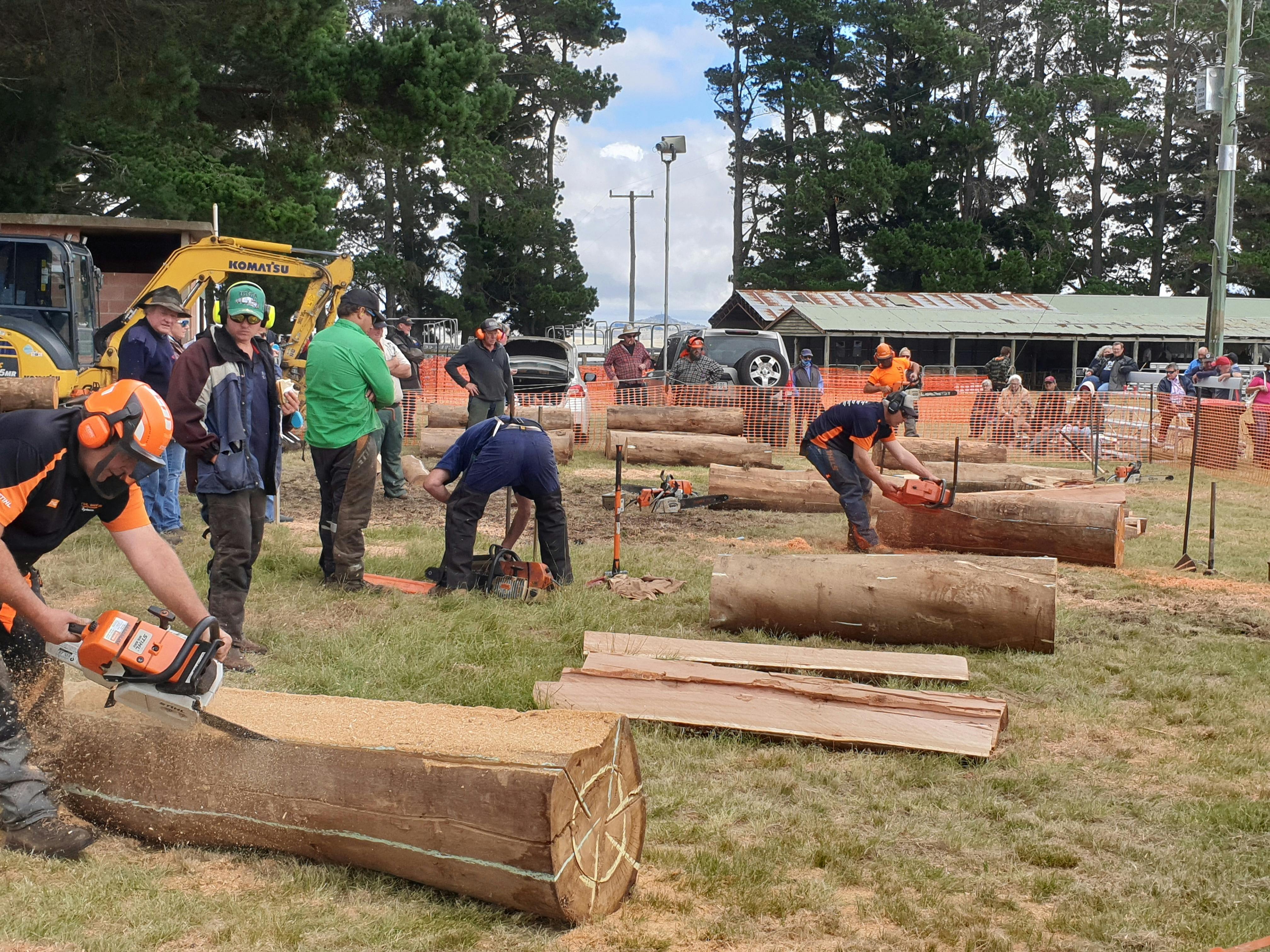 Wood Cutting Competition