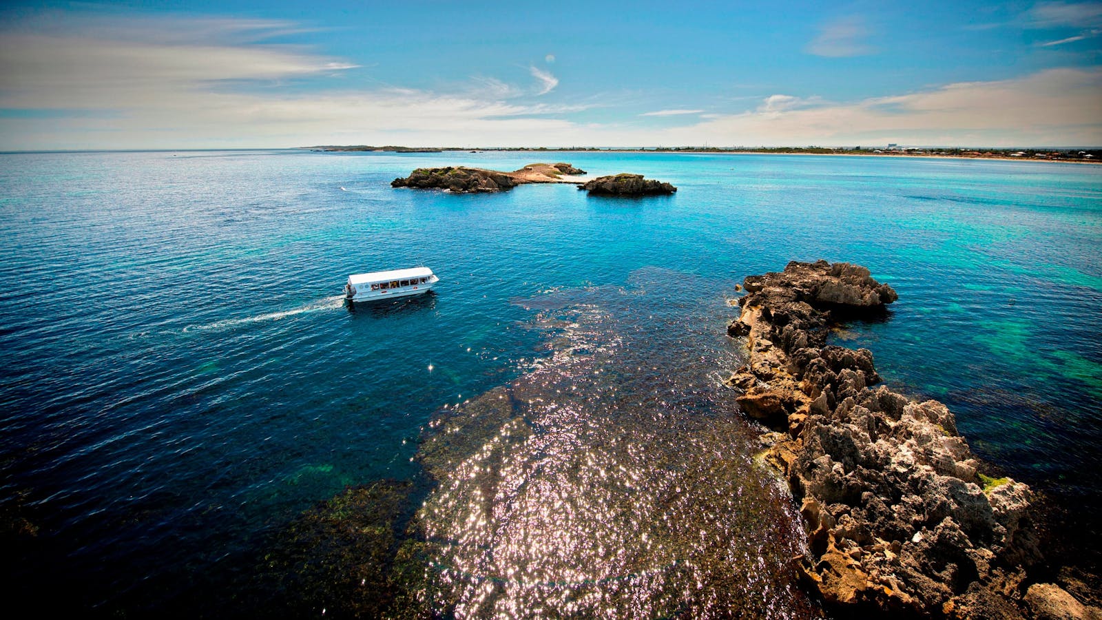 Penguin Island Cruises - Penguin Island Ferry and Cruises