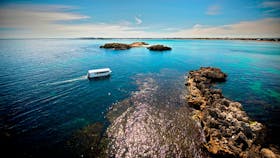 Rockingham Wild Encounters, Rockingham Beach, Western Australia