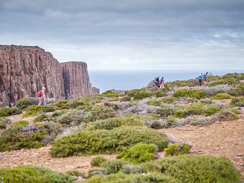 Cape Raoul on the Park Trek Walking Holidays Three Capes Hiking Tour