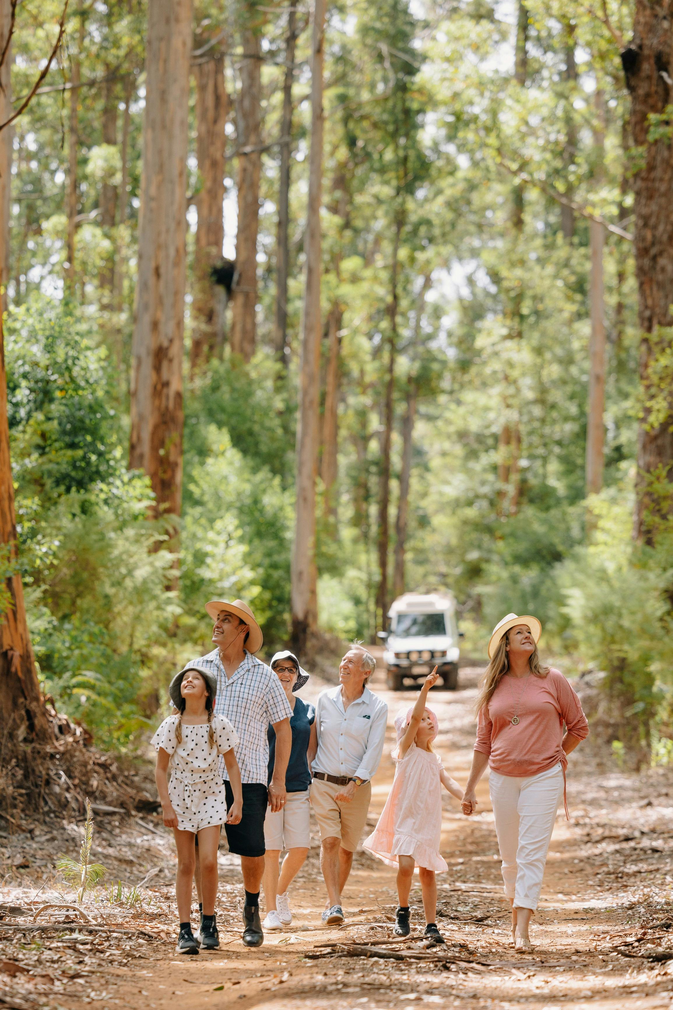 Pemberton Discovery Tours