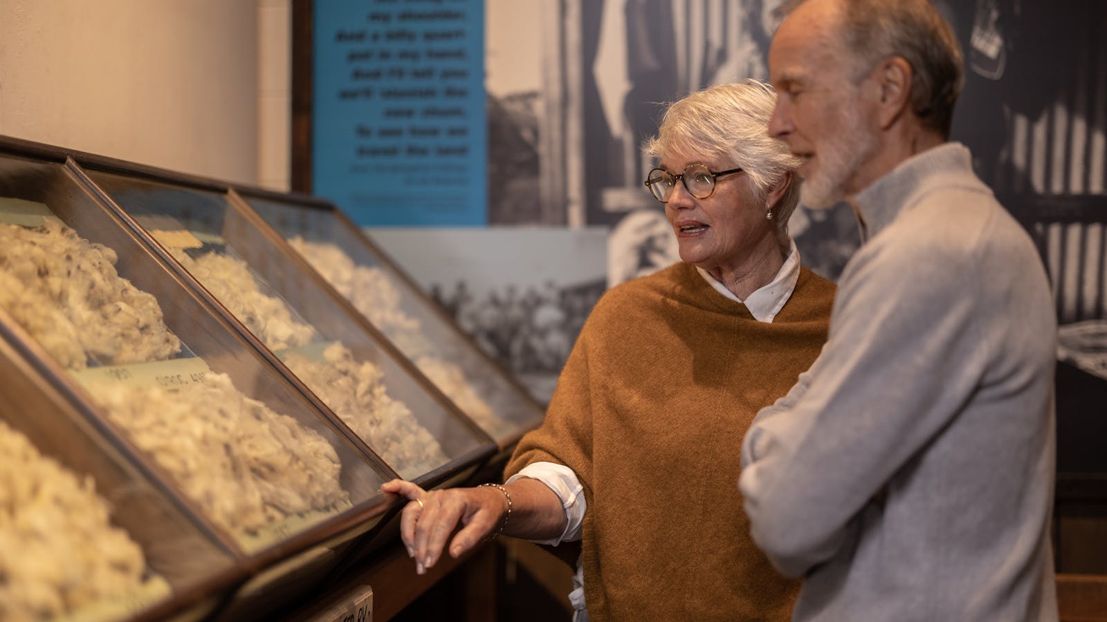 Fleece Samples in the Wool Room