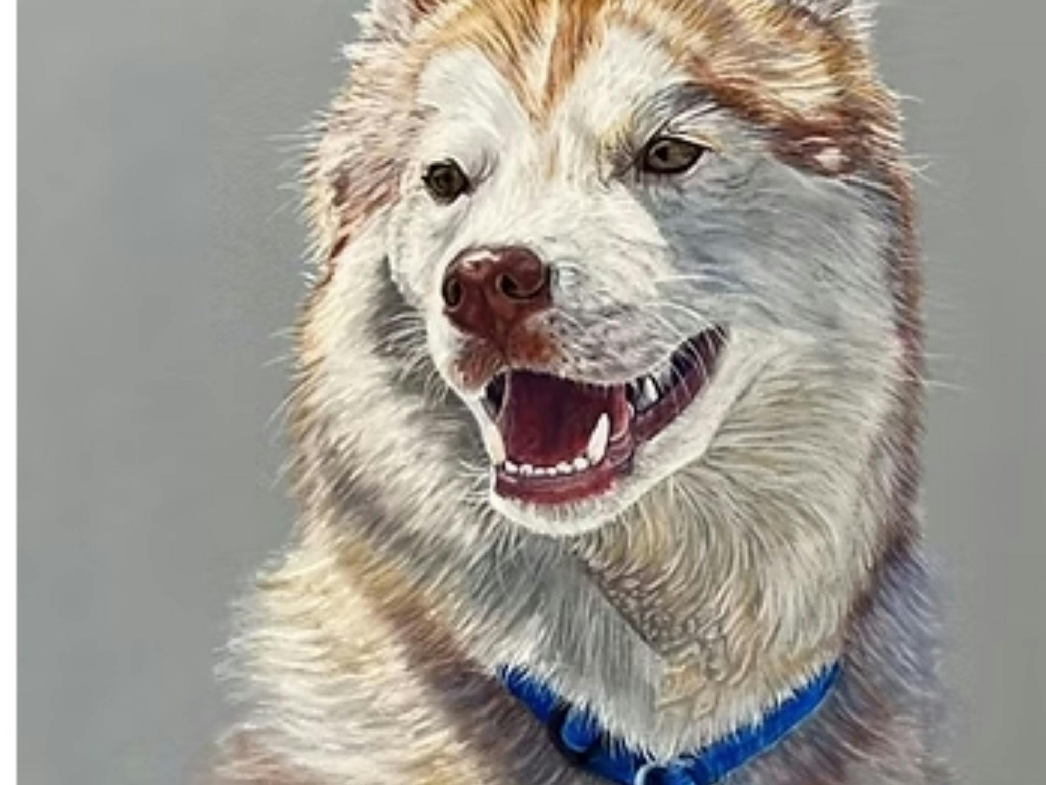 Image of a painting depicting a husky dog