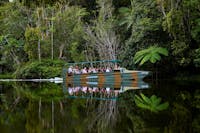 An amphibious Army Duck cruising on a lake amongst the rainforest, passengers enjoying the serenity