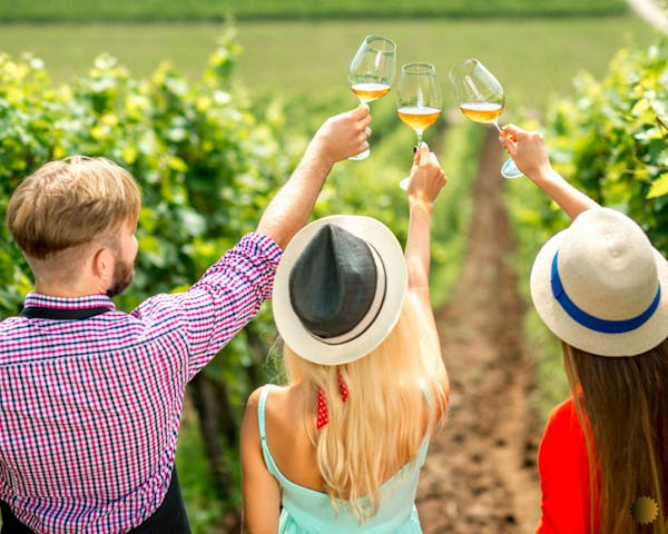 Tasting Odyssey: A Fleurieu Coast Mystery Experience (Friday)