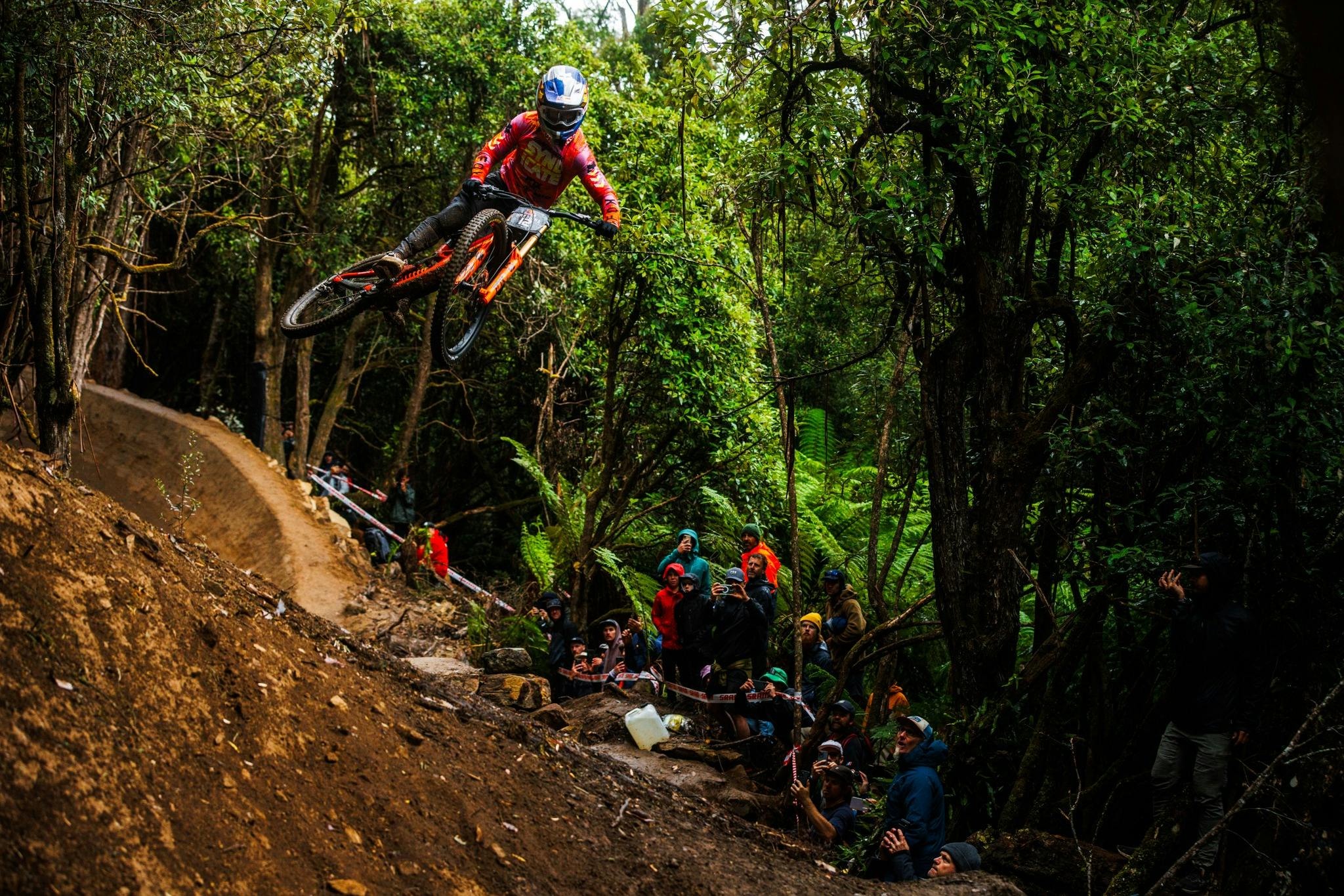 Rider on gap jump in forest