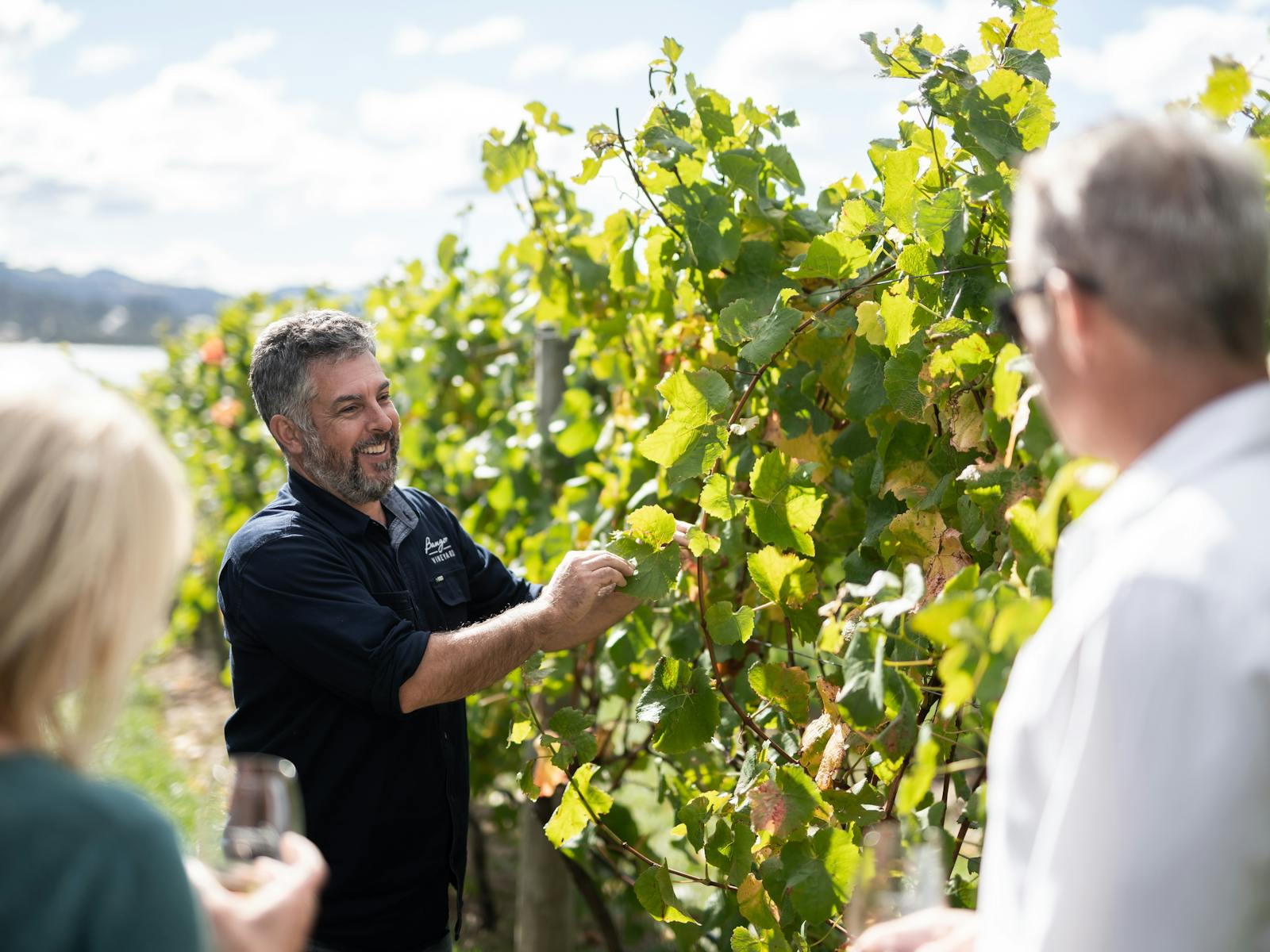 Learn about Bangor vineyard and our wines while strolling through the vines.