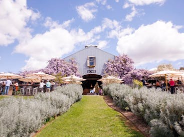 Lowe Family Wine Co