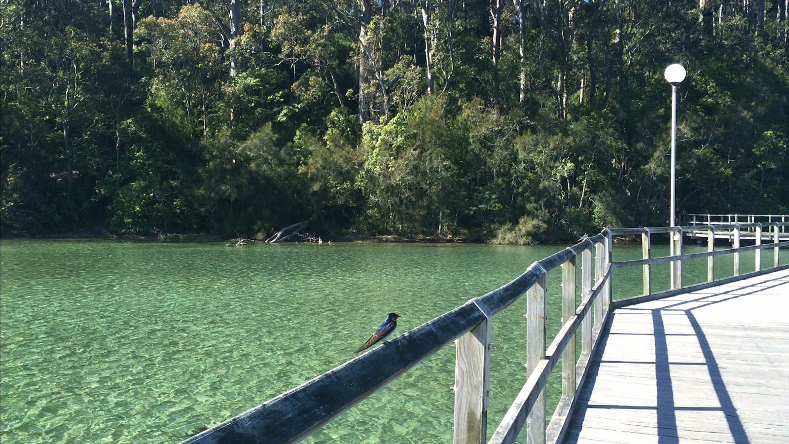 Mill Bay Boardwalk Narooma