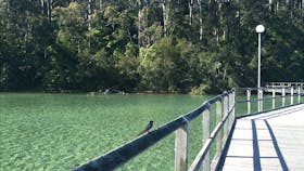 Mill Bay Boardwalk Narooma