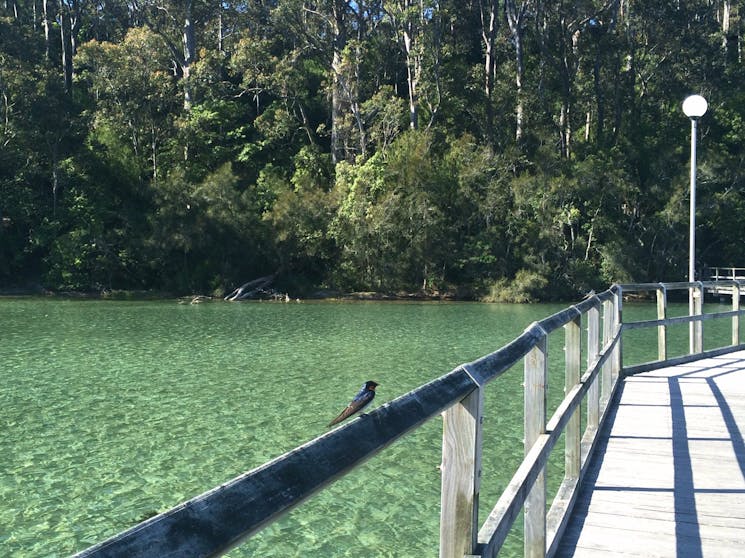 Mill Bay Boardwalk