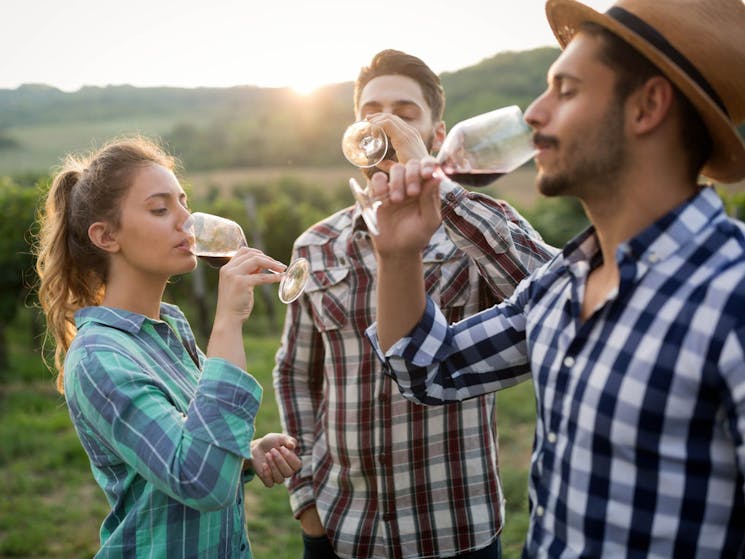 Three people enjoy a wine in the vineyards as the sun sets.