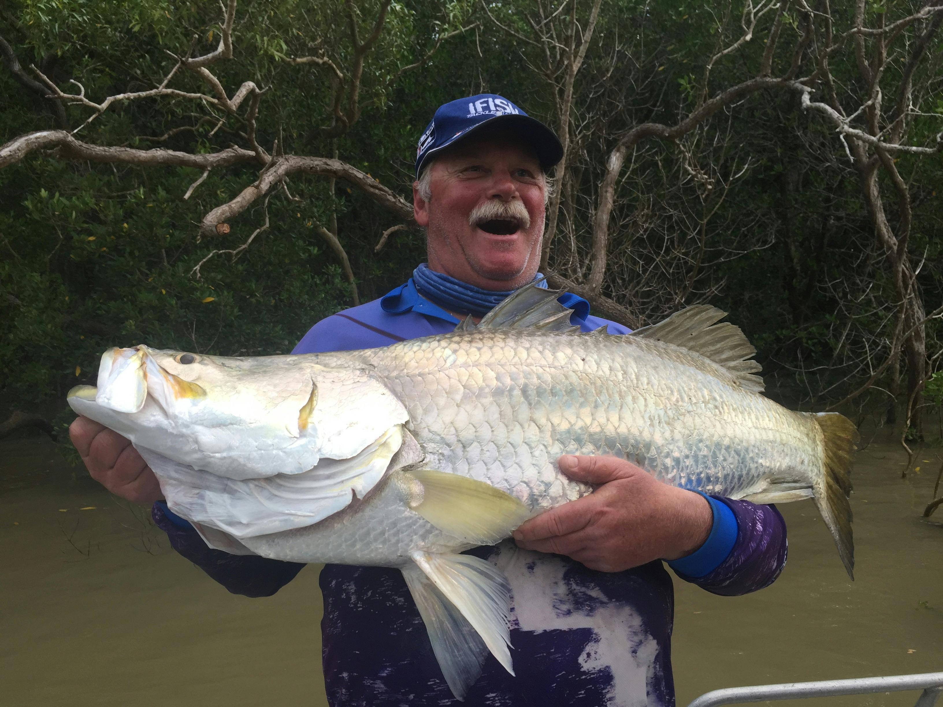 barramundi
