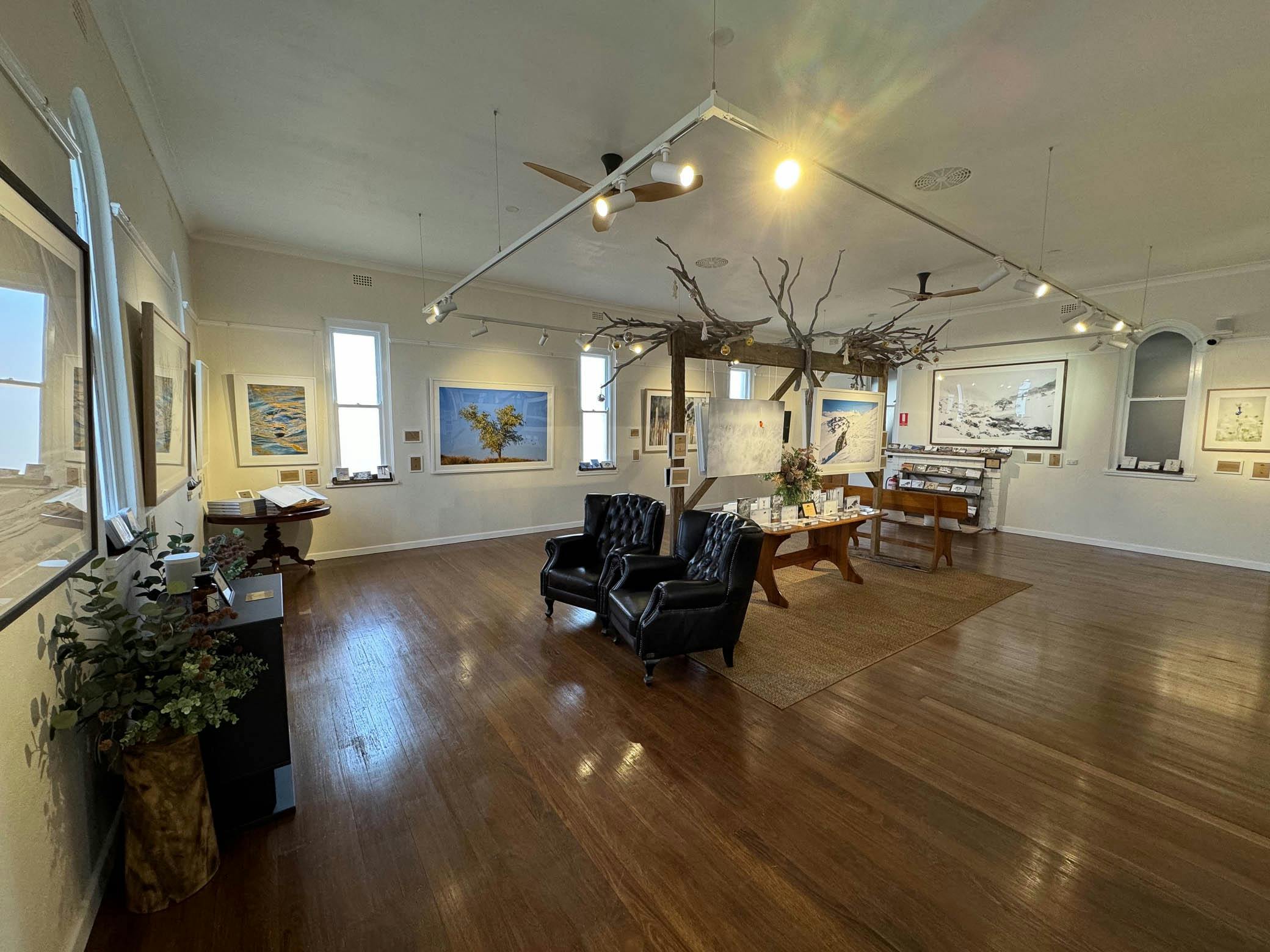 Charles Davis Wildlife Photography Gallery