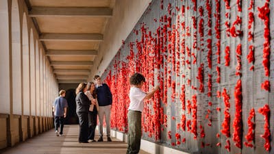 Visitors standing in front of wall of red poppies