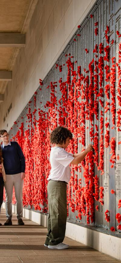 Visitors standing in front of wall of red poppies